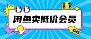 外面收费998的闲鱼低价充值会员搬砖玩法号称日入200+-一号资源库