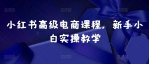 小红书高级电商课程,新手小白实操教学-一号资源库