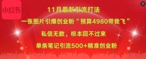 小红书11月最新图片打粉,一张图片引爆创业粉,“预算4980带我飞”,单条引流500+精准创业粉-一号资源库