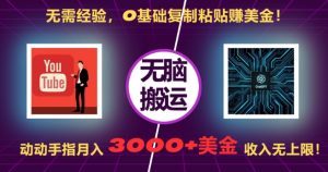 无需经验，0基础复制粘贴赚美刀，动动手指，月入3000+刀，无上限【揭秘】-一号资源库
