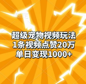 超级宠物视频玩法，1条视频点赞20万，单日变现1k-一号资源库