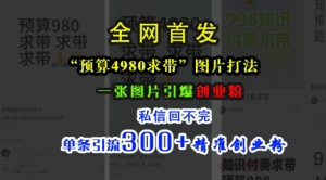 小红书“预算4980带我飞”图片打法,一张图片引爆创业粉,私信回不完,单条引流300+精准创业粉-一号资源库
