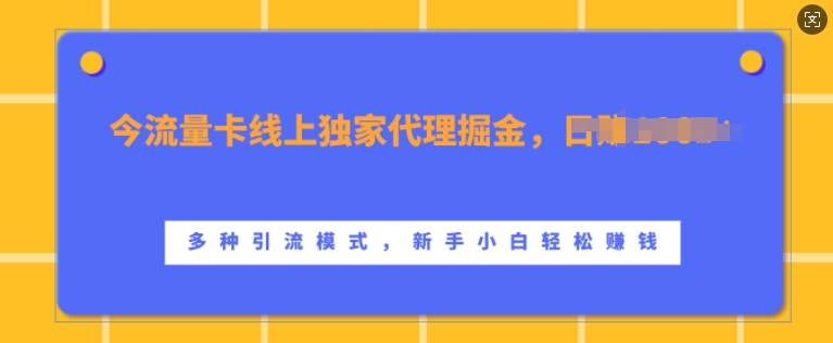 流量卡线上独家代理掘金，日入1k+ ，多种引流模式，新手小白轻松上手【揭秘】-一号资源库