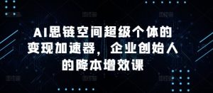 AI思链空间超级个体的变现加速器，企业创始人的降本增效课-一号资源库
