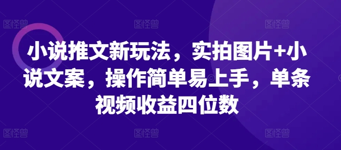 小说推文新玩法，实拍图片+小说文案，操作简单易上手，单条视频收益四位数-一号资源库