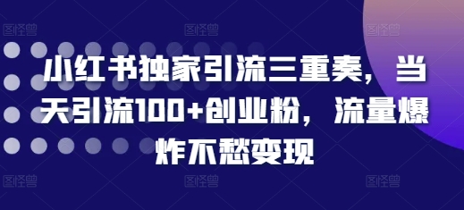 小红书独家引流三重奏，当天引流100+创业粉，流量爆炸不愁变现【揭秘】-一号资源库