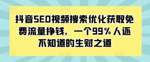 抖音SEO视频搜索优化获取免费流量挣钱，一个99%人还不知道的生财之道-一号资源库