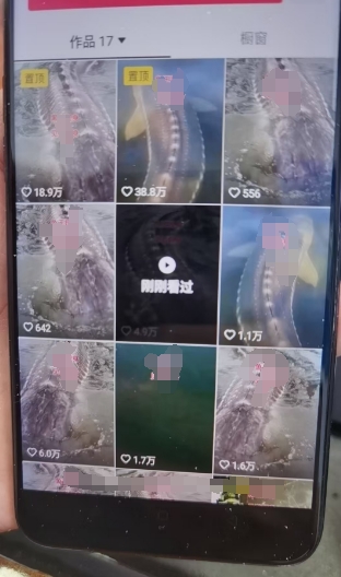 外面卖399的国学佛像原创暴力起号技术，快速起号，7天可达到一个万粉号-一号资源库