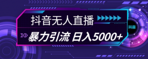 抖音快手视频号全平台通用无人直播引流法，利用图片模板和语音话术，暴力日引流100+创业粉【揭秘】-一号资源库