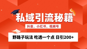 私域流量的精准化获客方法 野路子玩法 吃透一个点 日引200+ 【揭秘】-一号资源库