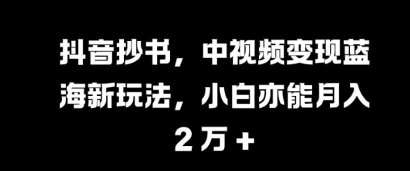 抖音抄书，中视频变现蓝海新玩法，小白亦能月入 过W【揭秘】-一号资源库