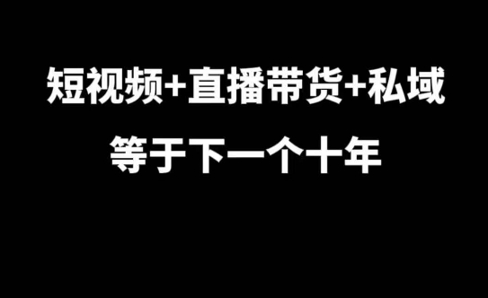 短视频+直播带货+私域等于下一个十年，大佬7年实战经验总结-一号资源库