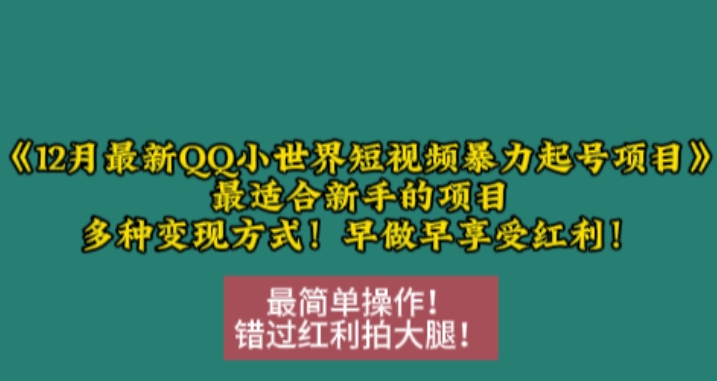 12月最新QQ小世界短视频暴力起号项目，最适合新手的项目，多种变现方式-一号资源库