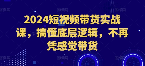 2024短视频带货实战课，搞懂底层逻辑，不再凭感觉带货-一号资源库