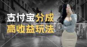 支付宝分成计划新玩法，利用交通事故视频，赚收益，轻松月入过W，操作简单【揭秘】-一号资源库