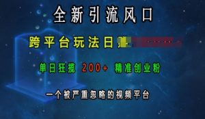 全新引流风口，跨平台玩法日入上k，单日狂揽200+精准创业粉，一个被严重忽略的视频平台-一号资源库