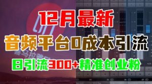 12月最新：音频平台0成本引流，日引流300+精准创业粉-一号资源库