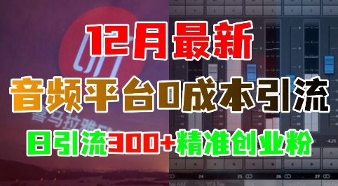 12月最新：音频平台0成本引流，日引流300+精准创业粉-一号资源库