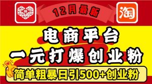 12月最新:电商平台1元打爆创业粉,简单粗暴日引500+精准创业粉,轻松月入过W【揭秘】-一号资源库
