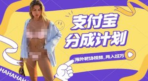 利用海外靶场射击视频,挣支付宝分成收益,轻松月入过W【揭秘】-一号资源库