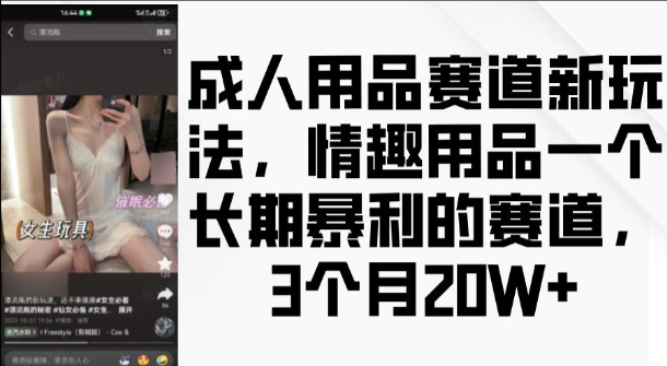 成人用品赛道新玩法，情趣用品一个长期暴利的赛道，3个月收益20个【揭秘】-一号资源库
