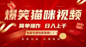 爆笑猫咪视频：简单操作，日入过K，视频号搞钱新策略【揭秘】-一号资源库