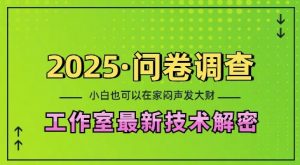 2025问卷调查最新工作室技术解密：一个人在家也可以闷声发大财，小白一天2张，可矩阵放大【揭秘】-一号资源库