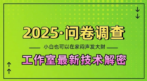 2025问卷调查最新工作室技术解密：一个人在家也可以闷声发大财，小白一天2张，可矩阵放大【揭秘】-一号资源库
