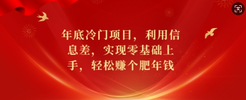 年底冷门项目，利用信息差，实现零基础上手，轻松赚个肥年钱【揭秘】-一号资源库