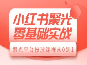 小红书聚光零基础实战,聚光平台投放课程从0到1-一号资源库
