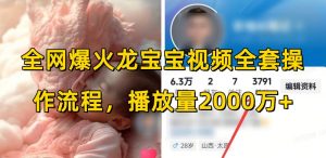 全网爆火龙宝宝视频全套操作流程,播放量2000万+-一号资源库