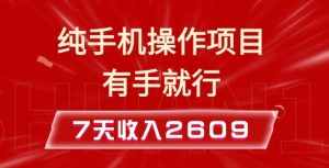 纯手机操作的小项目，有手就能做，7天收入2609+实操教程【揭秘】-一号资源库