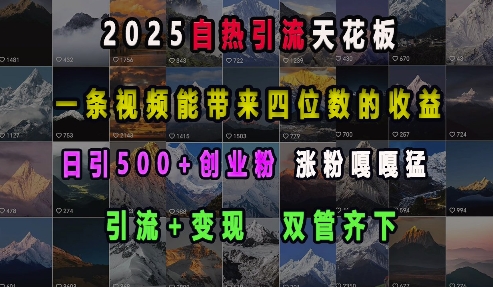 2025自热引流天花板，一条视频能带来四位数的收益，引流+变现双管齐下，日引500+创业粉，涨粉嘎嘎猛-一号资源库