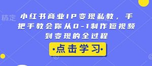 小红书商业IP变现私教，手把手教会你从0-1制作短视频到变现的全过程-一号资源库