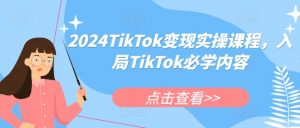 2024TikTok变现实操课程，入局TikTok必学内容-一号资源库