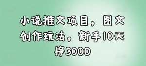 小说推文项目，图文创作玩法，新手10天挣3000-一号资源库