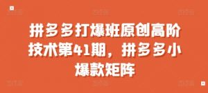 拼多多打爆班原创高阶技术第41期，拼多多小爆款矩阵-一号资源库