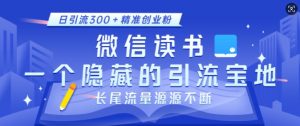 微信读书,一个隐藏的引流宝地,不为人知的小众打法,日引流300+精准创业粉,长尾流量源源不断-一号资源库
