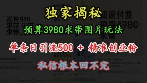 预算3980求带 图片玩法，单条日引流500+精准创业粉，私信根本回不完-一号资源库
