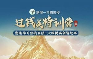 剽悍一只猫-过钱关特训营，学习营销真经 大幅度提高创富效率-一号资源库