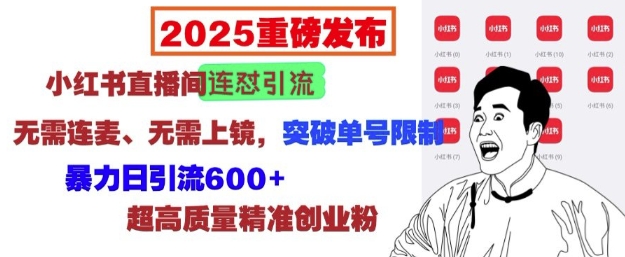2025重磅发布：小红书直播间连怼引流，无需连麦、无需上镜，突破单号限制，暴力日引流600+-一号资源库