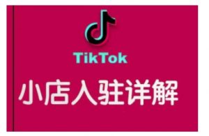 TikTok跨境小店运营全攻略，帮助你独立运营TK跨境小店的能力，实现销量增长-一号资源库