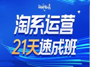 淘系运营21天速成班35期，年前最后一波和2025方向-一号资源库