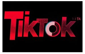 TikTok ads投流秘籍，涵盖tiktok整体投放思路，教你搭建测试计划-一号资源库