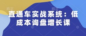 直通车实战系统:低成本询盘增长课,让个人通过技能实现升职加薪,让企业低成本获客,订单源源不断-一号资源库