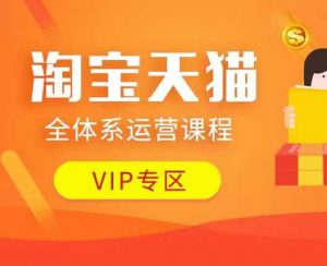 淘宝天猫全体系运营课程:店铺全系运营、动销玩法、付费推广、流量提升、擦边球玩法等等-一号资源库