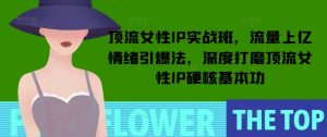 顶流女性IP实战班,流量上亿情绪引爆法,深度打磨顶流女性IP硬核基本功-一号资源库