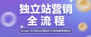独立站营销全流程，Google SEO优化，社媒站外引流，独家营销技巧-一号资源库