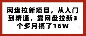 网盘拉新项目，从入门到精通，靠网盘拉新3个多月搞了16W-一号资源库