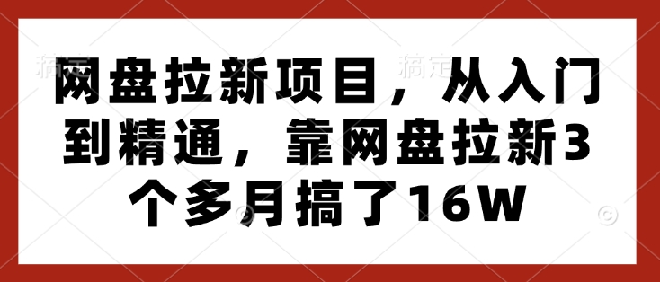 网盘拉新项目，从入门到精通，靠网盘拉新3个多月搞了16W-一号资源库